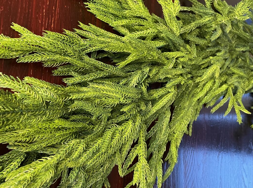 Multiple norfolk pine garlands. Individually, they would look thin and scrawny, but layered, they bring different shades and texture.